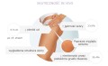 Krem antycellulitowy z Nocturshape (2).jpg